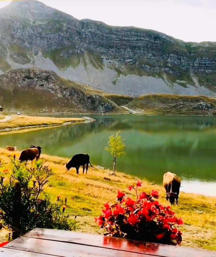 לינה וארוחת בוקר פודגוריצה Kapetanovo Jezero Bungalov מראה חיצוני תמונה